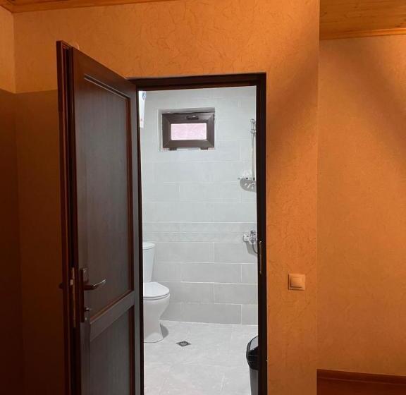 اتاق استاندارد سه تخته با بالکن, Old View