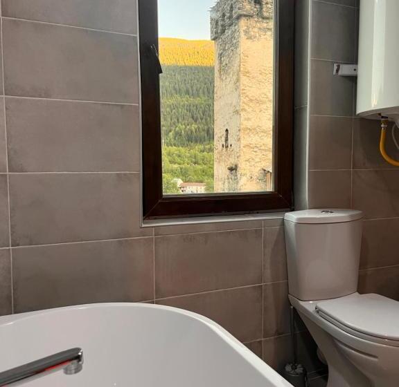 اتاق استاندارد با وان آب گرم, Old View