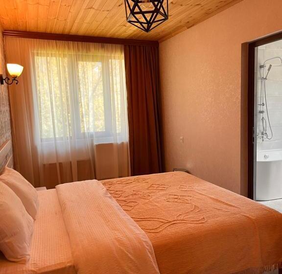 اتاق استاندارد با وان آب گرم, Old View