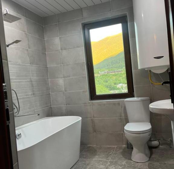 اتاق استاندارد با وان آب گرم, Old View