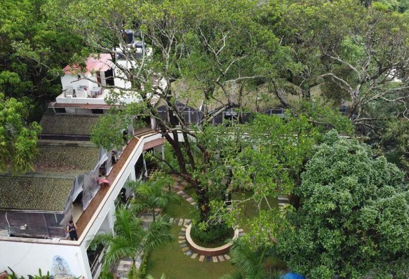 高级客房, Jp Resort