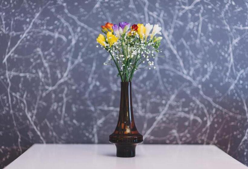 דירת חדר דלוקס, Derby Ah