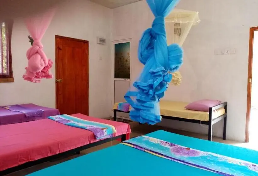 ルームシェアのワンベッド, Helena Hostel