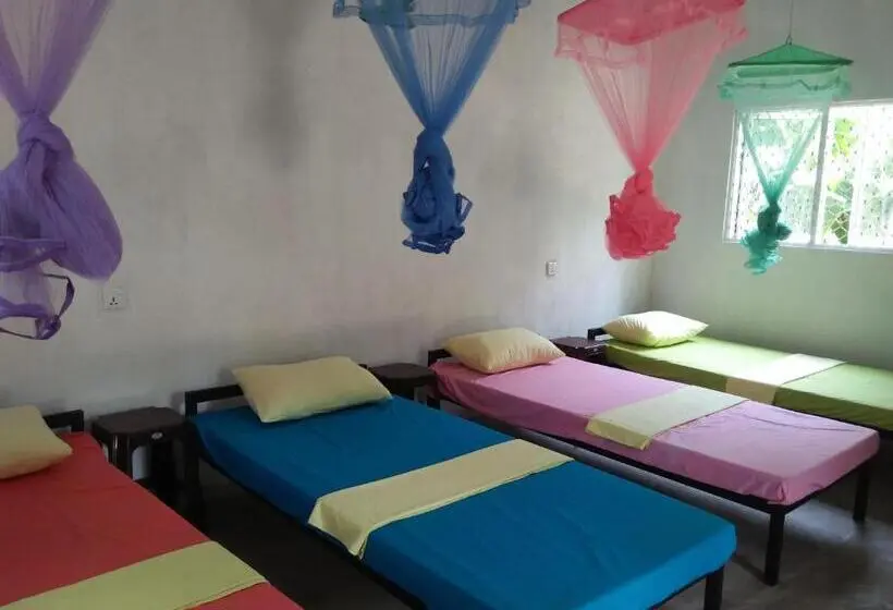 ルームシェアのワンベッド, Helena Hostel