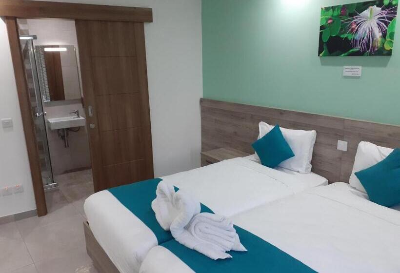 اتاق لوکس با چشم‌انداز شهر, Tj Boutique