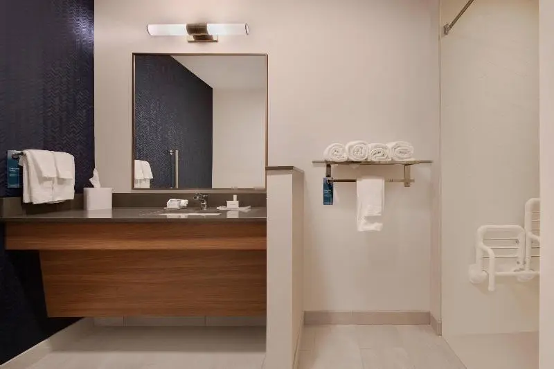 キングサイズベッドのスタンダードルーム, Fairfield Inn & Suites By Marriott Tampa Wesley Chapel