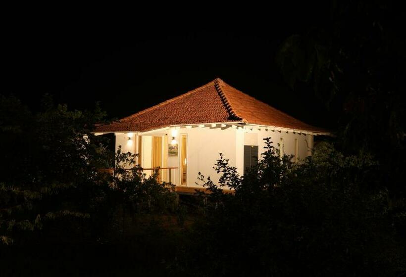 스탠다드 룸, K Resort