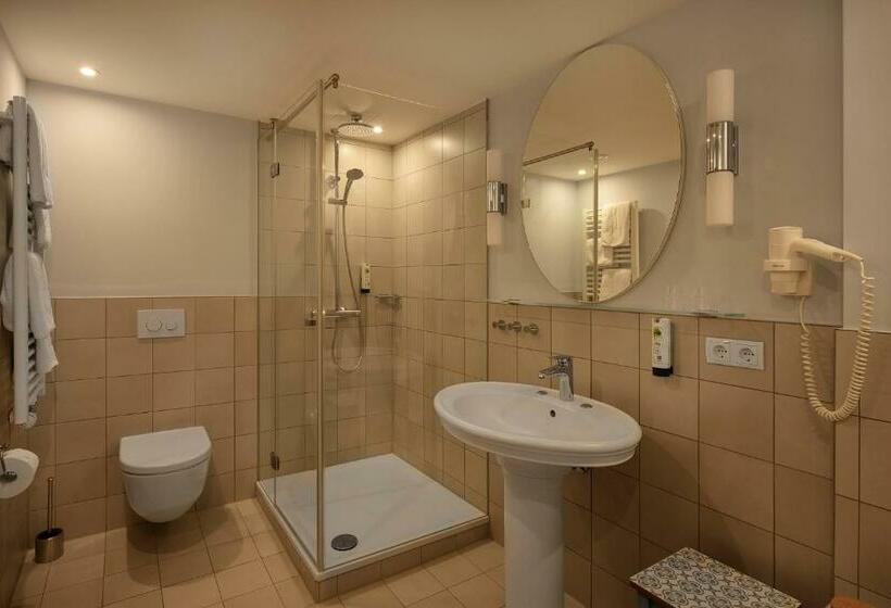 Полулюкс, Aparthotel Rose