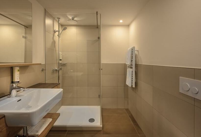 프리미엄 룸, Aparthotel Rose