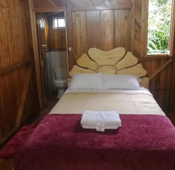 スタンダードシングルルーム, Hostal El Eden De Mindo