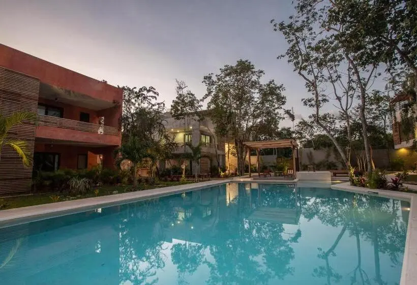 プールビュージュニアスイート, Panacea Condo Tulum