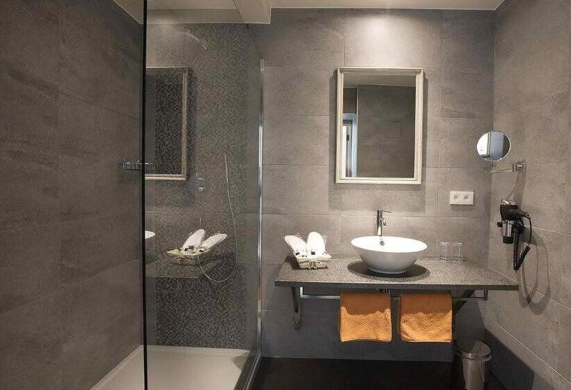 חדר סטנדרט עם טרסה, B&b 't Meesterhof