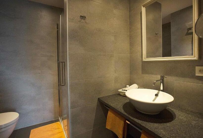 חדר יחיד עם טרסה, B&b 't Meesterhof