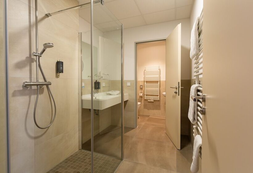 Номер Стандартный с Видом, Mythenresort Heimdall
