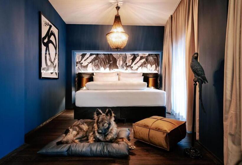 高级大房间, Aiola Living Graz