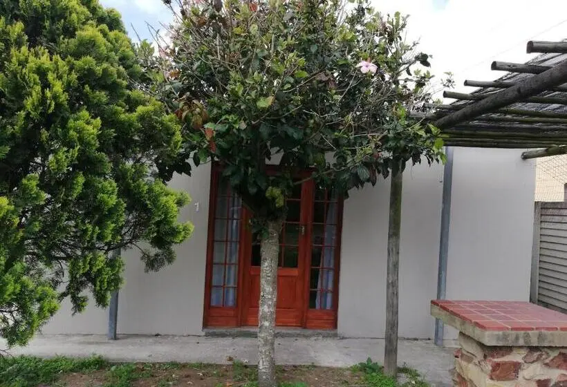 اتاق لوکس با چشم‌انداز باغ, La Maison On 3rd Guesthouse