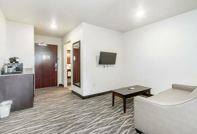 إستوديو قياسى سرير كينج, Cobblestone Hotel & Suites   Janesville