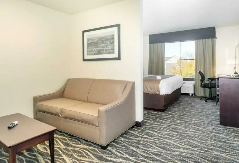 スタンダードスタジオ, Cobblestone Hotel & Suites   Janesville