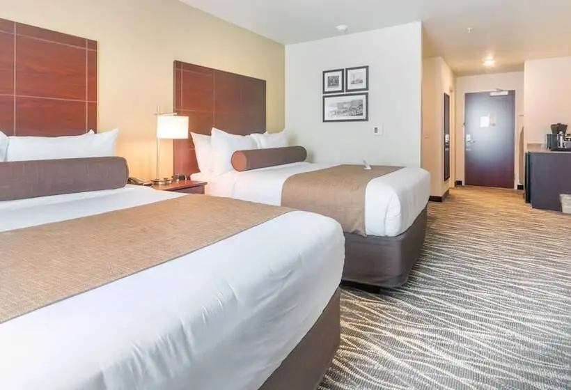 スタンダードスタジオ, Cobblestone Hotel & Suites   Janesville