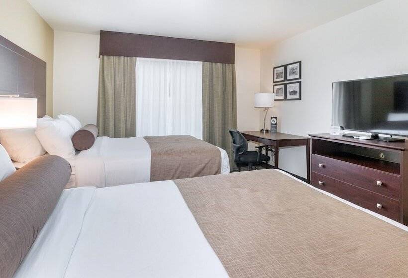 إستوديو قياسى, Cobblestone Hotel & Suites   Janesville