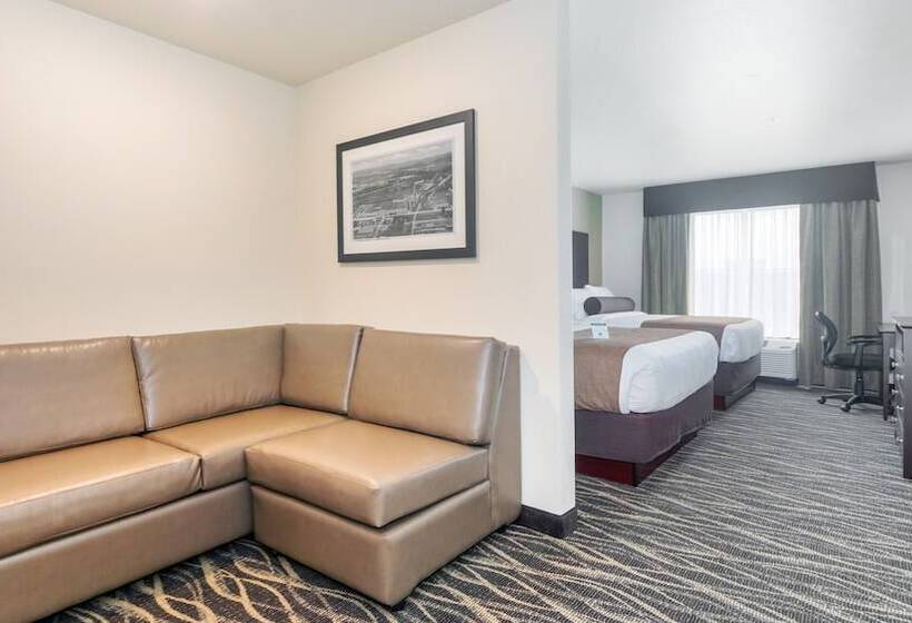 Студия Стандарт, Cobblestone Hotel & Suites   Janesville