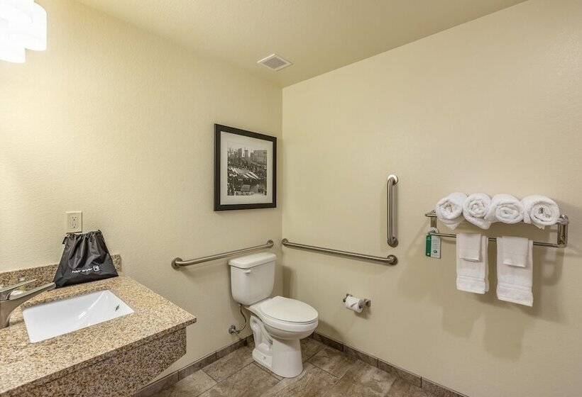 إستوديو قياسى, Cobblestone Hotel & Suites   Janesville