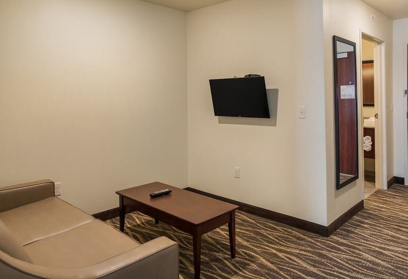 إستوديو قياسى, Cobblestone Hotel & Suites   Janesville