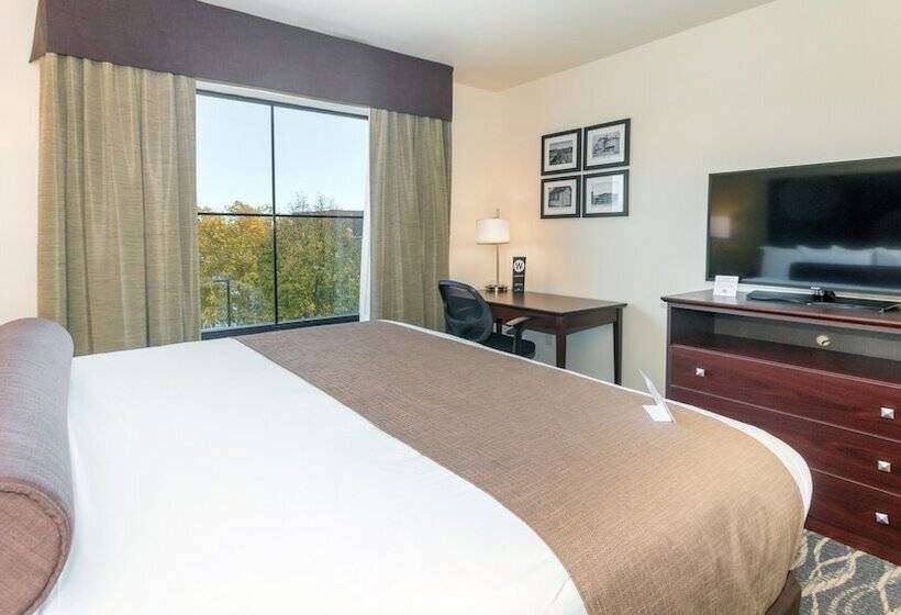 إستوديو قياسى, Cobblestone Hotel & Suites   Janesville