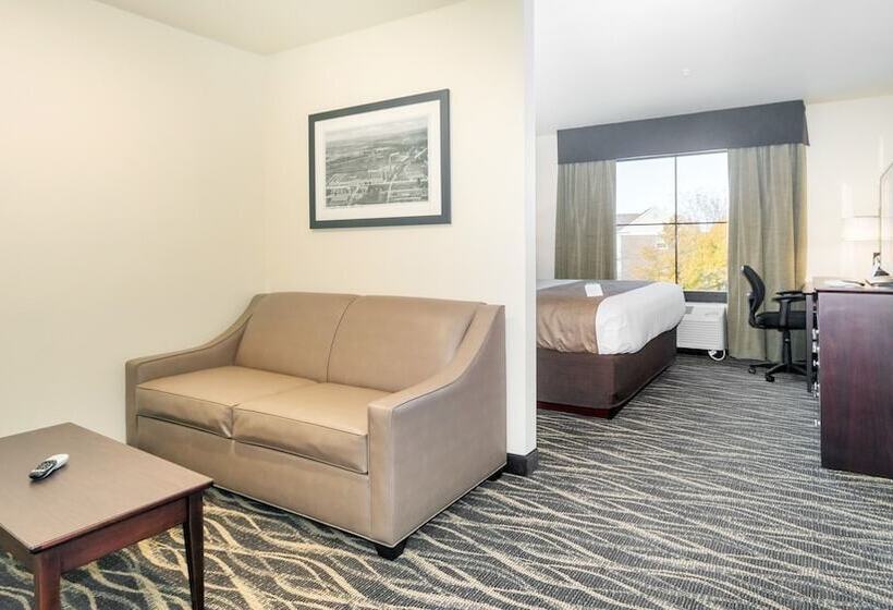 Студия Стандарт, Cobblestone Hotel & Suites   Janesville