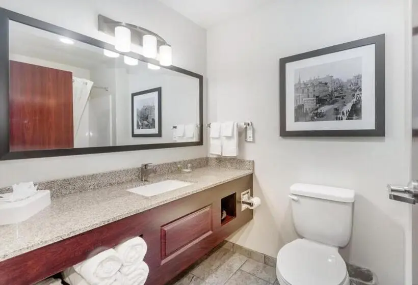 キングサイドベッドのスタンダードワンルーム, Cobblestone Hotel & Suites   Janesville