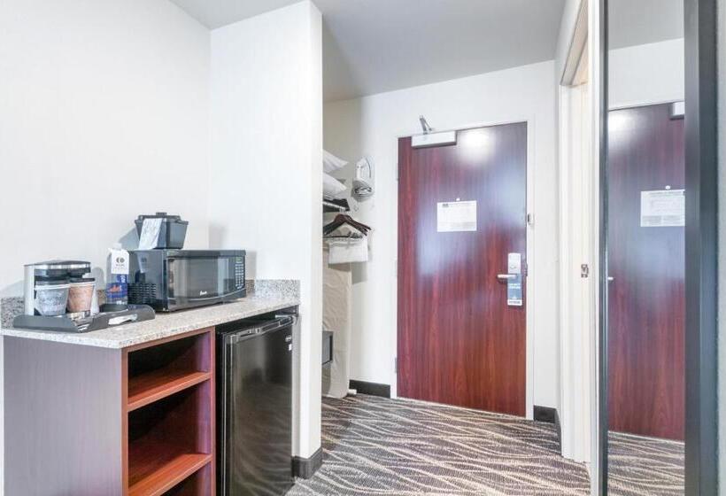 إستوديو قياسى سرير كينج, Cobblestone Hotel & Suites   Janesville