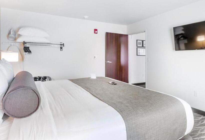 جناح ديلوكس, Cobblestone Hotel & Suites   Janesville