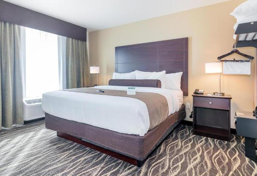 جناح ديلوكس, Cobblestone Hotel & Suites   Janesville