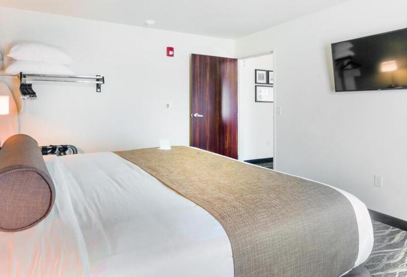 جناح ديلوكس, Cobblestone Hotel & Suites   Janesville