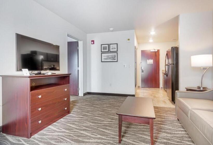 جناح ديلوكس, Cobblestone Hotel & Suites   Janesville