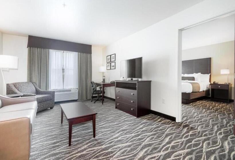 جناح ديلوكس, Cobblestone Hotel & Suites   Janesville