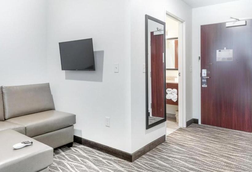 Студия Стандарт, Cobblestone Hotel & Suites   Janesville