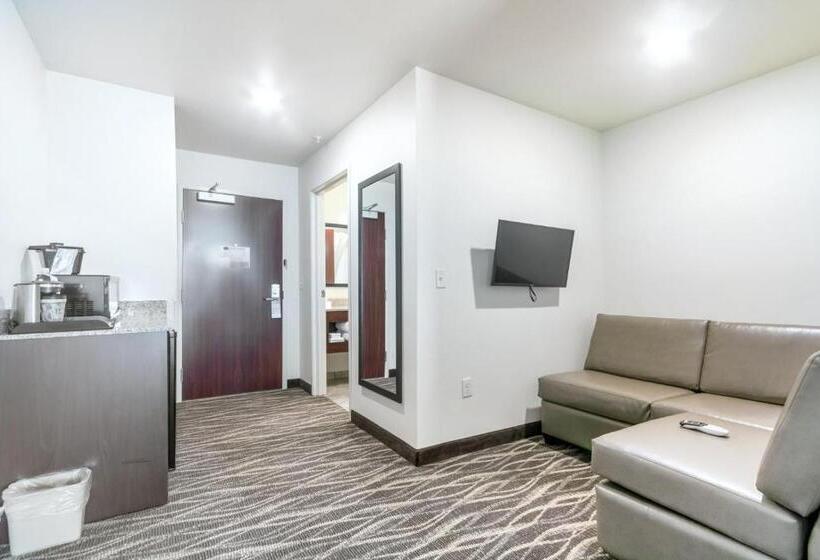 Студия Стандарт, Cobblestone Hotel & Suites   Janesville