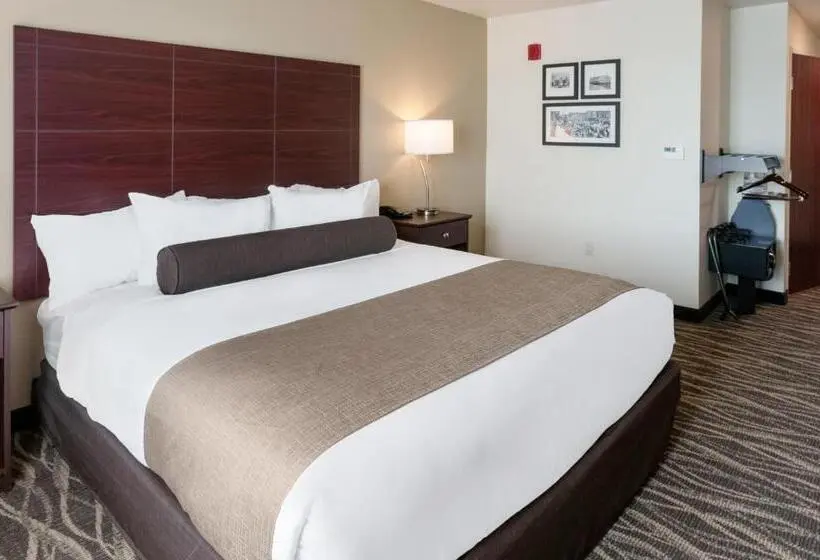 身障者適用キングサイズベッドルーム, Cobblestone Hotel & Suites   Janesville