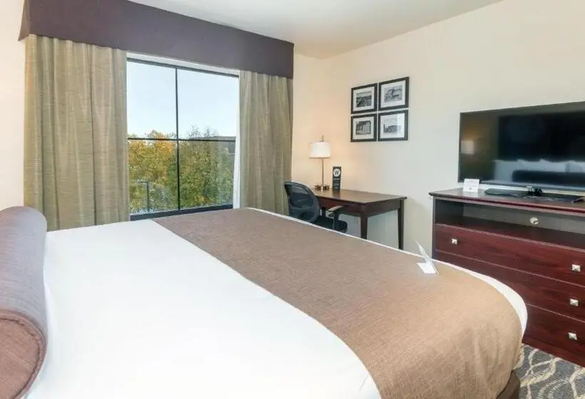 身障者適用キングサイズベッドルーム, Cobblestone Hotel & Suites   Janesville