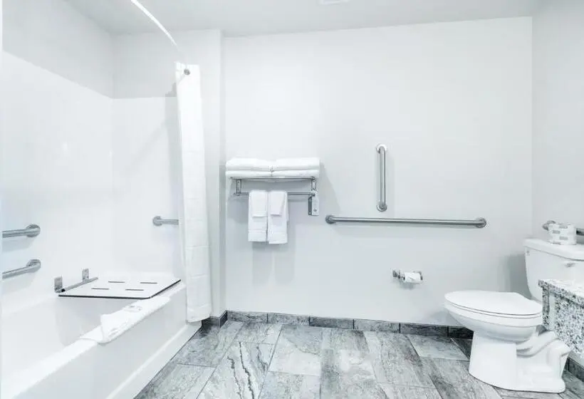 身障者適用キングサイズベッドルーム, Cobblestone Hotel & Suites   Janesville