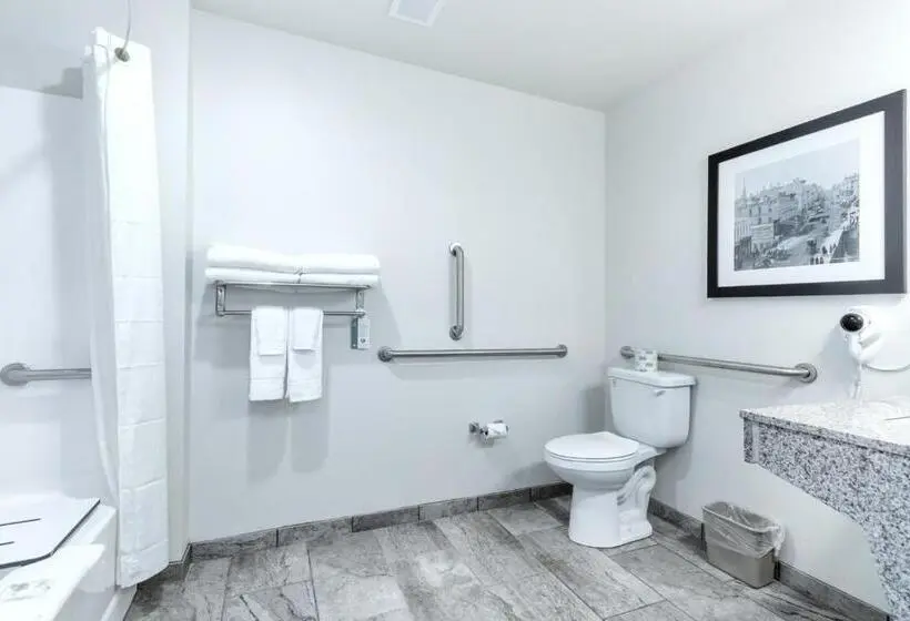 身障者適用キングサイズベッドルーム, Cobblestone Hotel & Suites   Janesville