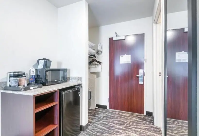 キングサイズベッドのスタンダードルーム, Cobblestone Hotel & Suites   Janesville