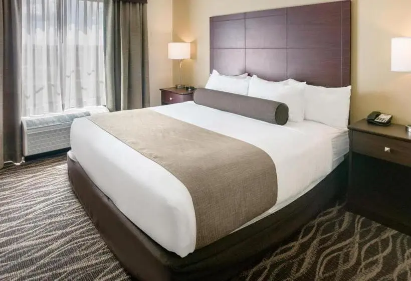 キングサイズベッドのスタンダードルーム, Cobblestone Hotel & Suites   Janesville