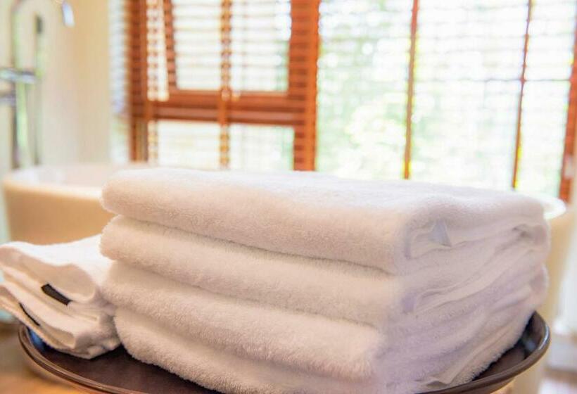 带观景的标准间, Zhangjiajie Creek