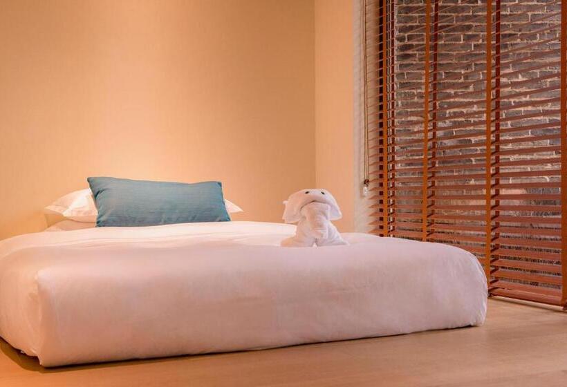 家庭套房, Zhangjiajie Creek