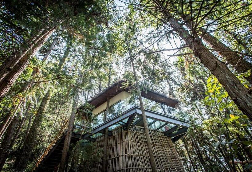 1间卧室的房子, Zhangjiajie Creek