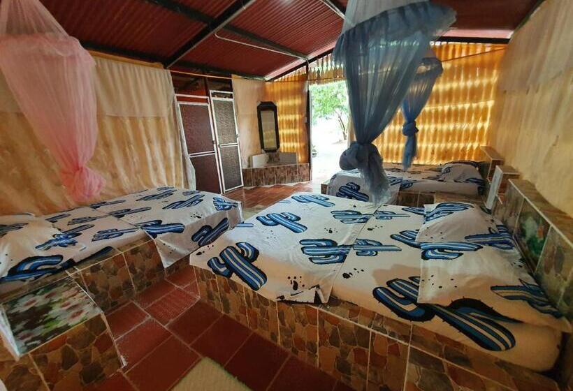 اتاق خانوادگی, Alojamiento Casa De Campo Los Cactus