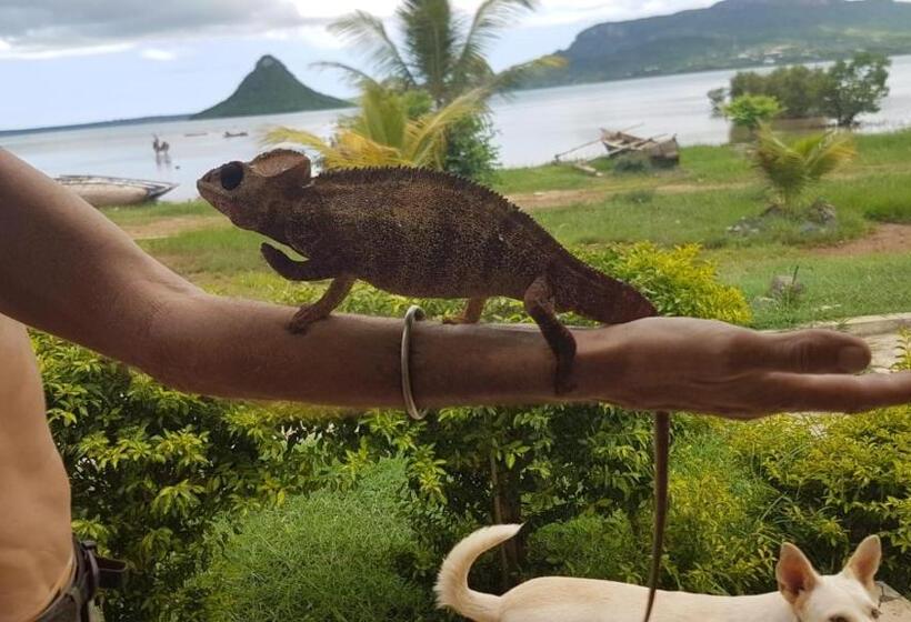 بانگلوی استاندارد با چشمانداز دریا, Sanjeela Plage Coco