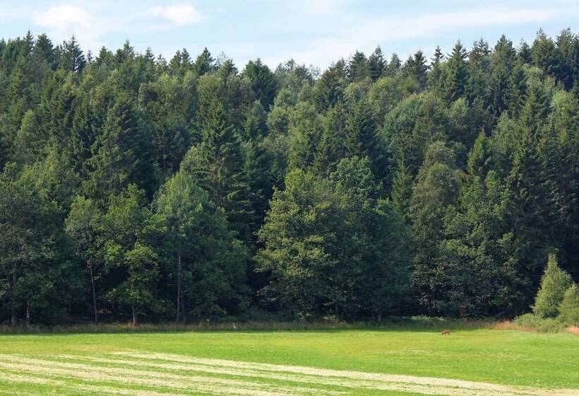 Четырехместный Номер Стандарт, Toric Farmlodge